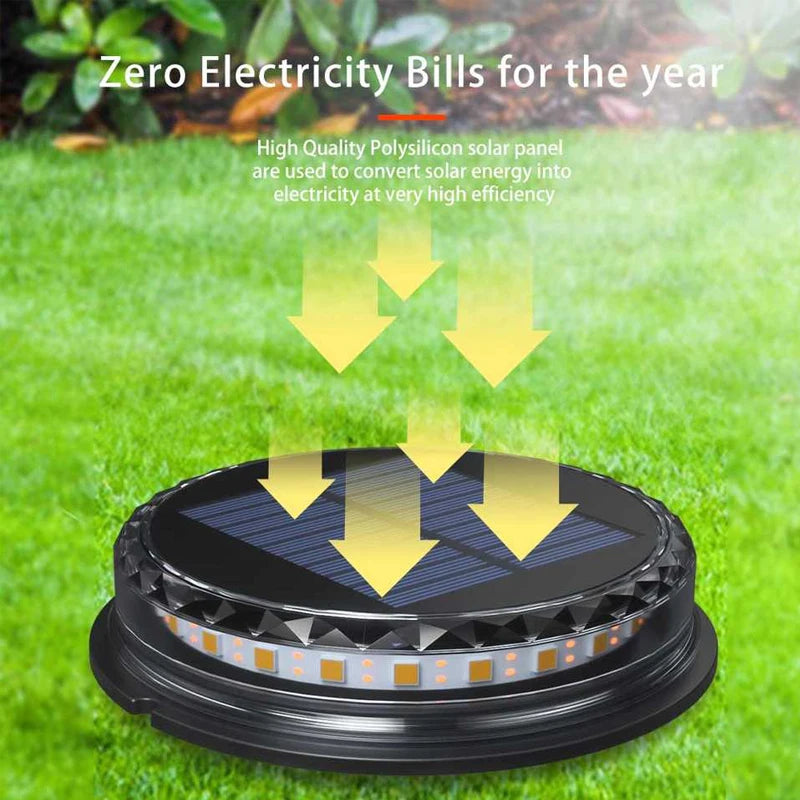 Solar-Powered Waterproof Garden Lights