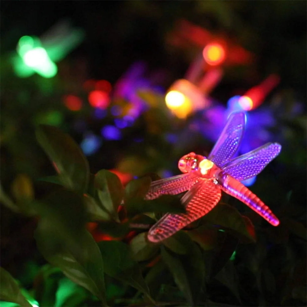 Solar Dragonfly String Lights