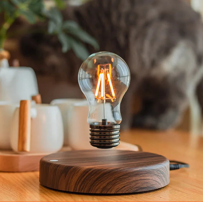 Magnetic Levitation Floating Lamp variant product view