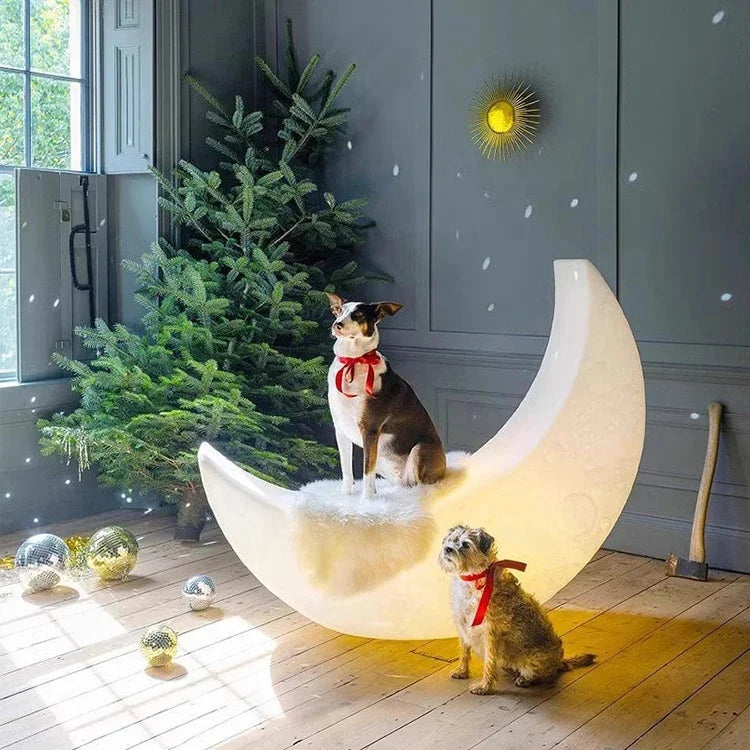 Crescent Moon Floor Lamp