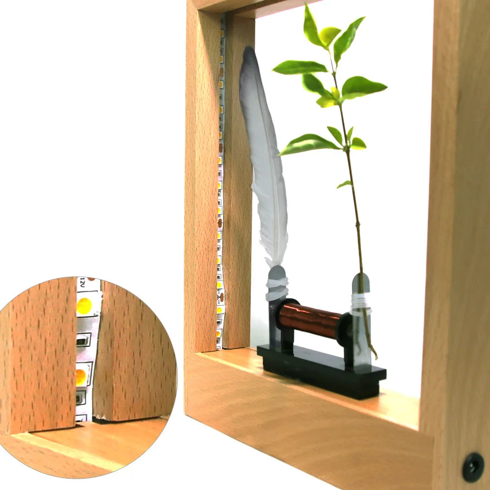 Slow Action Motion Ambient Light shown as soft ambient home lighting