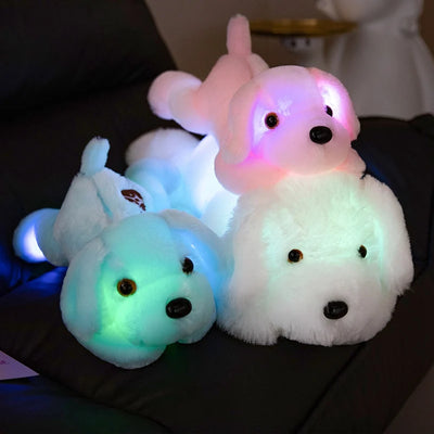 Luminous Dog Plush Ambient Light close-up product view, in D, A, B, or C