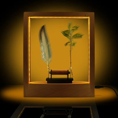 Slow Action Motion Ambient Light decorative lighting detail