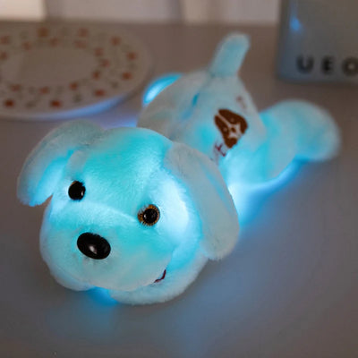 Luminous Dog Plush Ambient Light lifestyle product view
